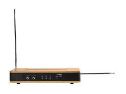 MOOG Etherwave Theremin -Roland Shop Moog Etherwave Theremin 22 02