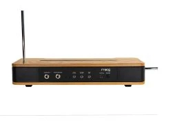 MOOG Etherwave Theremin -Roland Shop Moog Etherwave Theremin 22 07