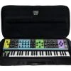MOOG Matriarch SR Series Carry Case