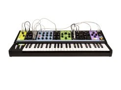 MOOG Matriarch Semi-Modular Analog Keyboard Synthesizer -Roland Shop Moog Matriarch 03