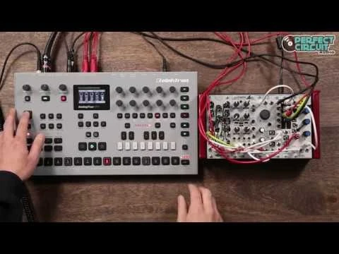 Analog Four MKII Synthesizer + Groovebox (Black) 7 Analog Four MKII Synthesizer + Groovebox (Black) - Image 5