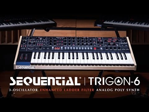 Trigon-6 Polyphonic Analog Keyboard Synthesizer 9 Trigon-6 Polyphonic Analog Keyboard Synthesizer - Image 7