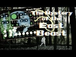 East Beast Semi-Modular Analog Synthesizer -Roland Shop hqdefault 161 62