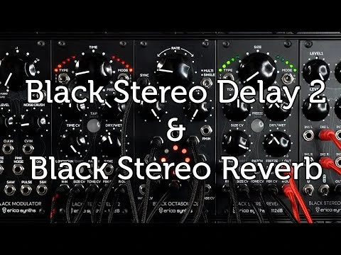 Black Stereo Delay 2 Effects Processor 4 Black Stereo Delay 2 Effects Processor - Image 2