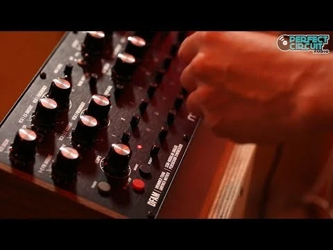 MOOG DFAM Drummer From Another Mother Analog Percussion Synthesizer 8 MOOG DFAM Drummer From Another Mother Analog Percussion Synthesizer - Image 6